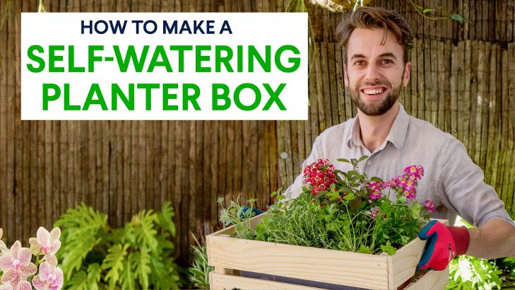 Diy How To Make A Self Watering Herb Planter Box Self Watering Herb Planter Box, How To Make A Self Watering Garden Box